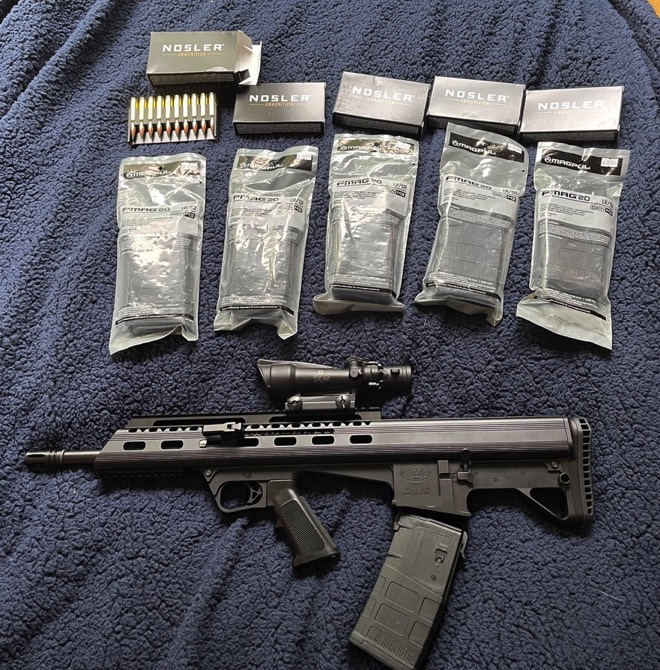 m17s308+ar10-mags.jpg